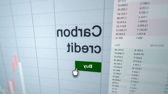 Analyzing a carbon credits etf fund on a computer screen